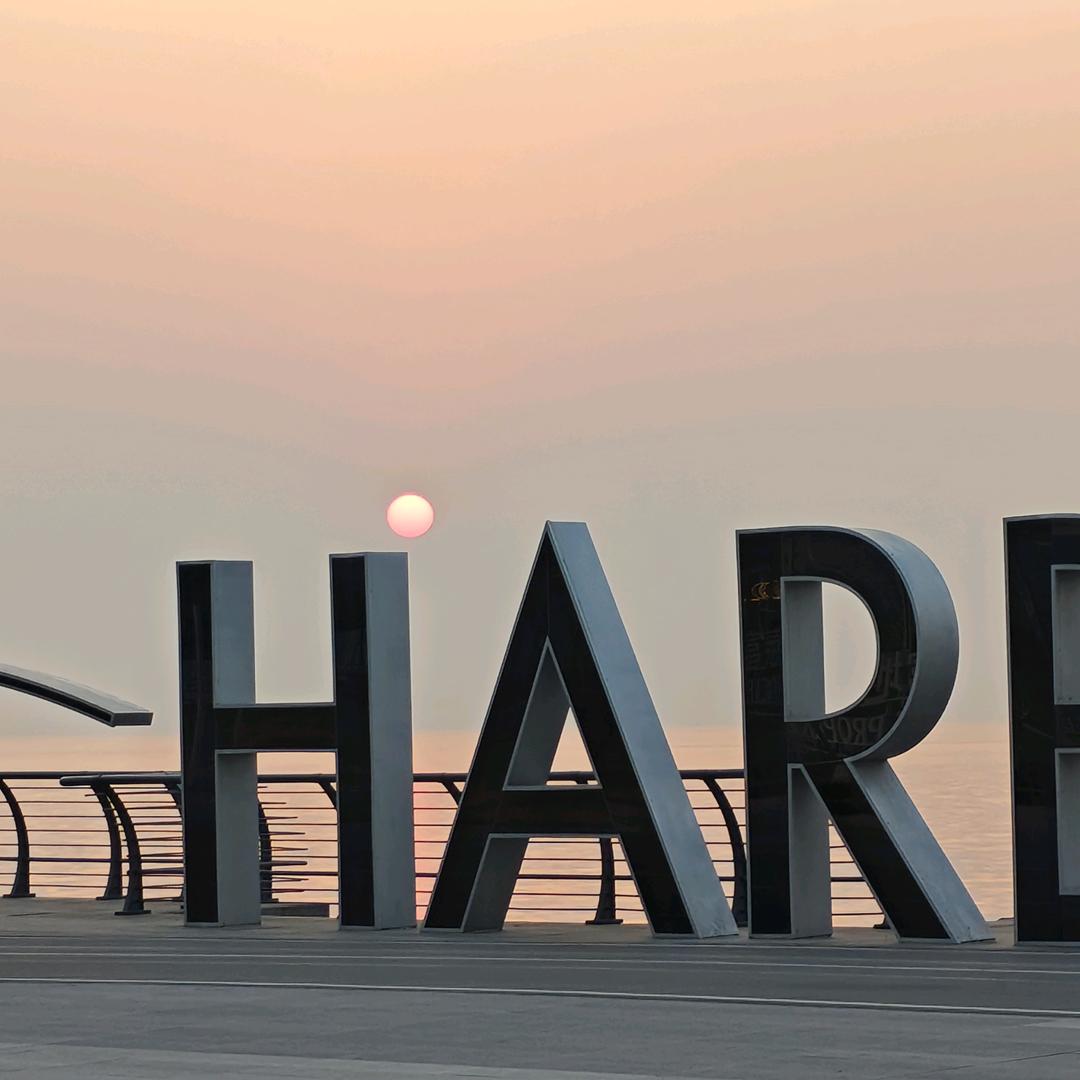 海边卖房的阳阳