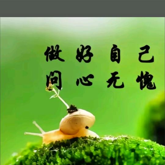 🦋苦尽💞甜来꧔ꦿ᭄࿐ᩚ：