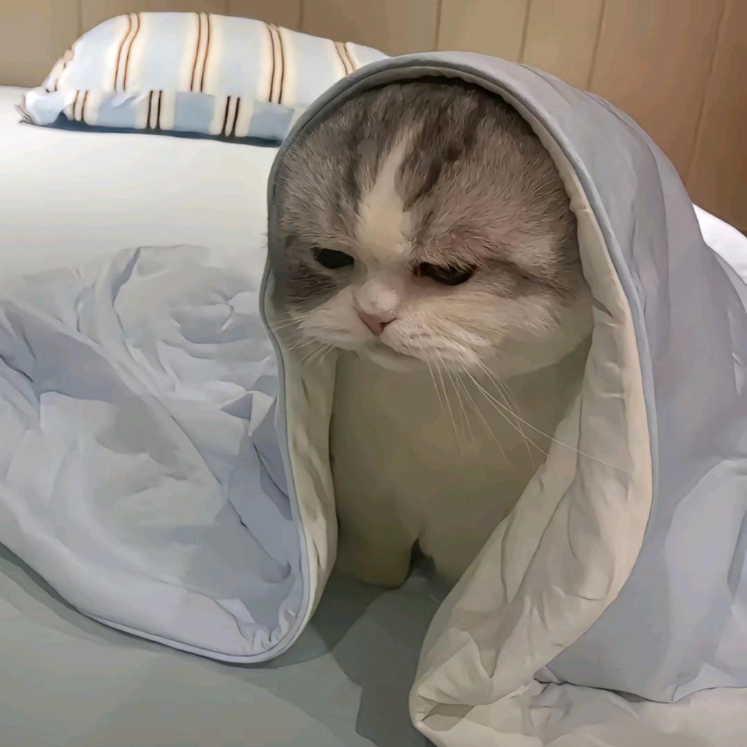 里驰商务