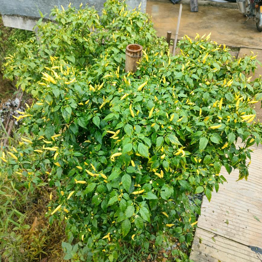 等你回来