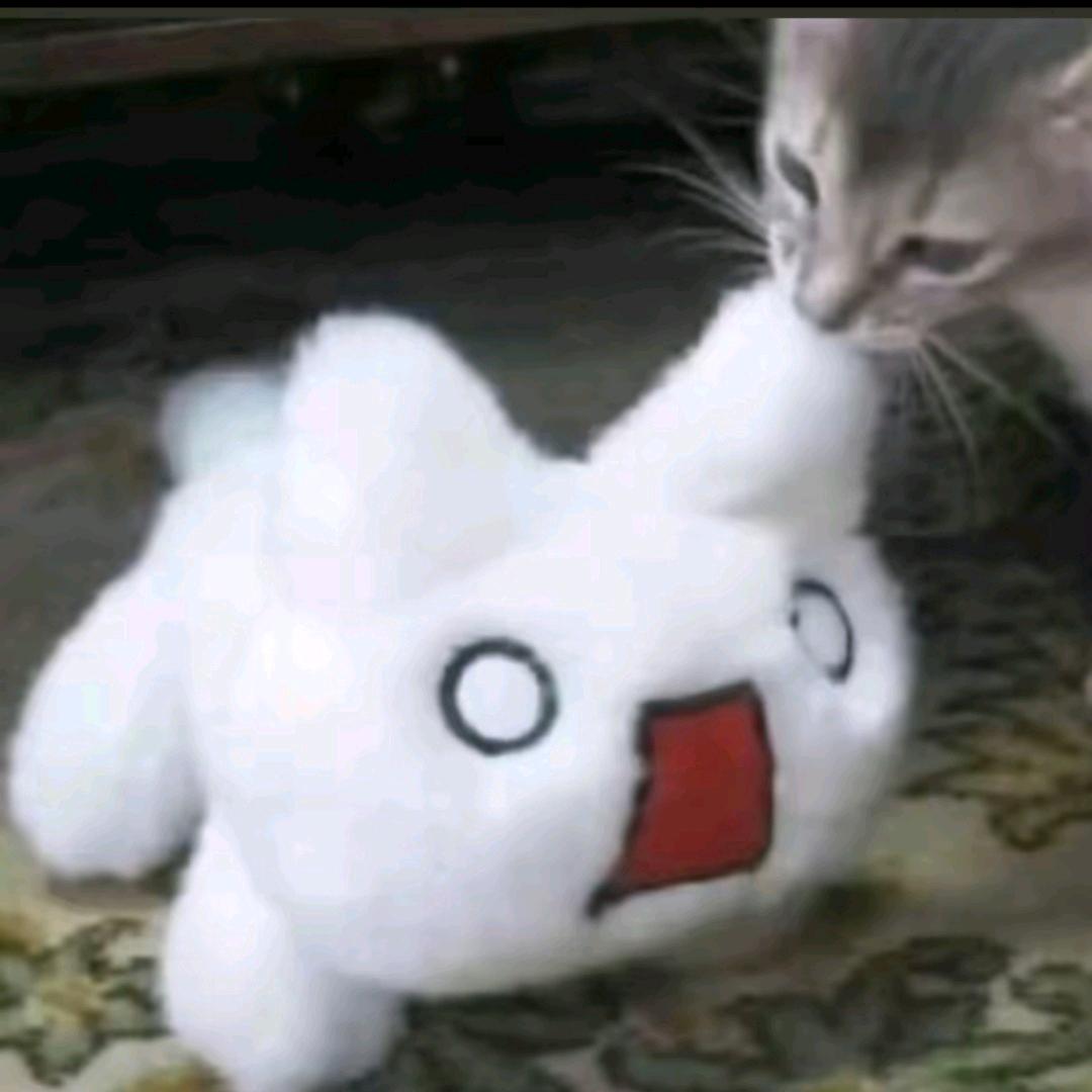 短暂性.