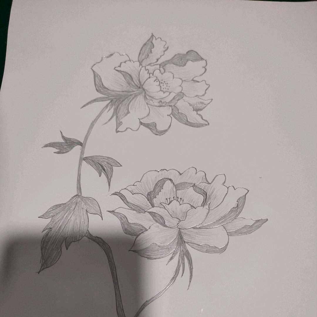 乘真如之道而来