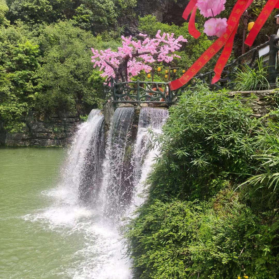 韦小丽