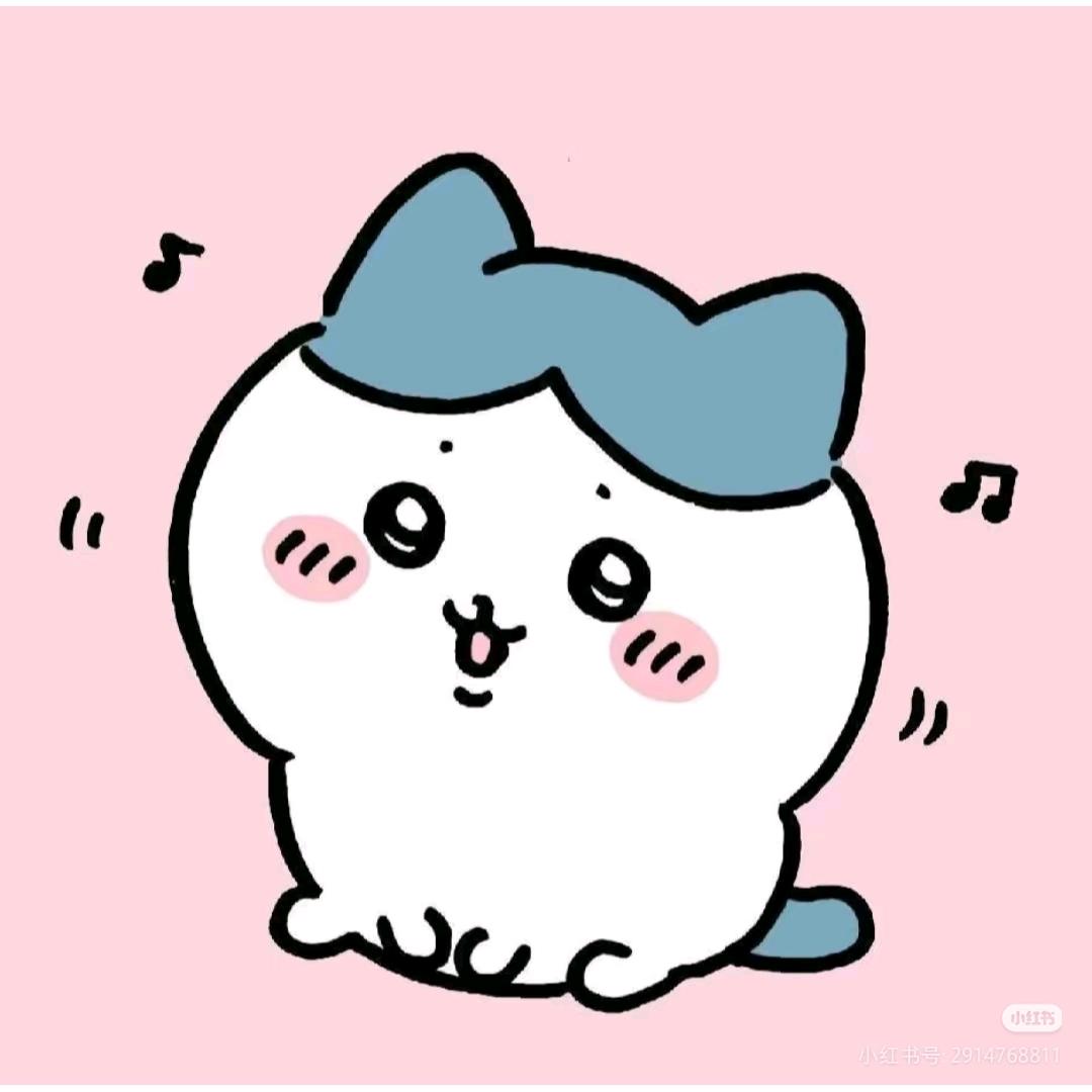 小八喵~