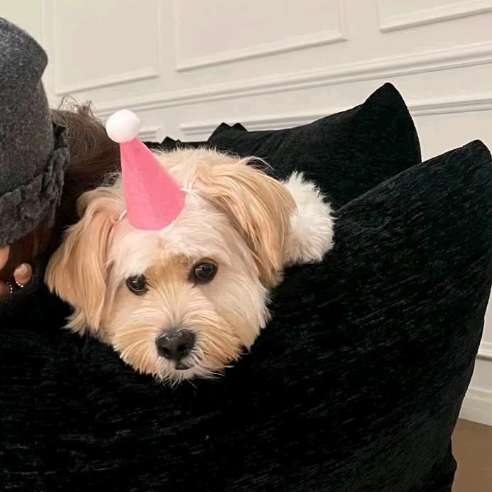 ㅤㅤ  ￰ㅤㅤㅤ  ￰ㅤ