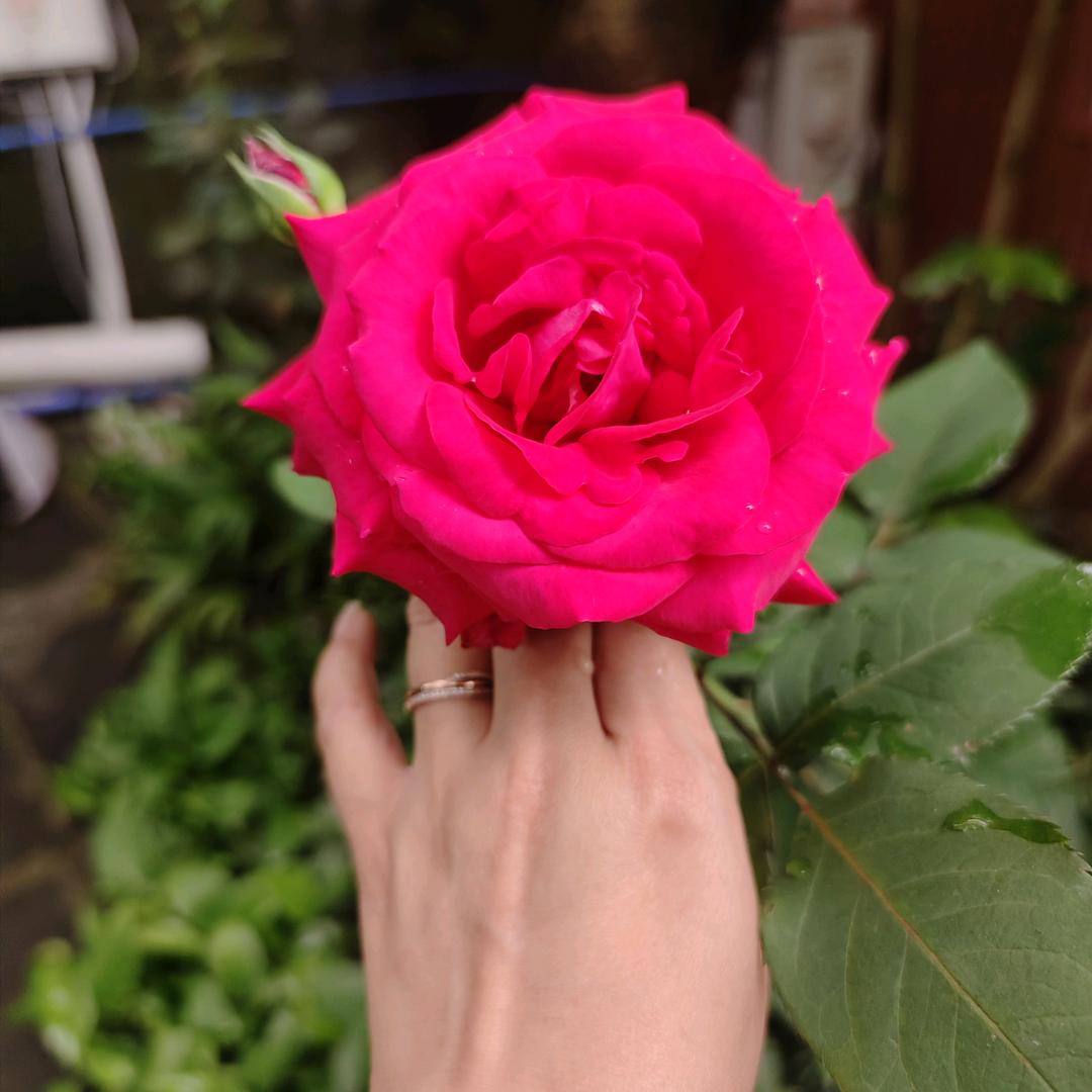 双向奔赴才是爱