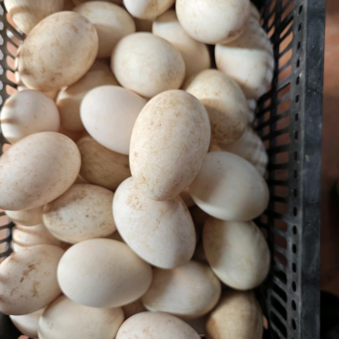 合作愉快