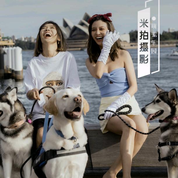 砚昕芳说剧😇