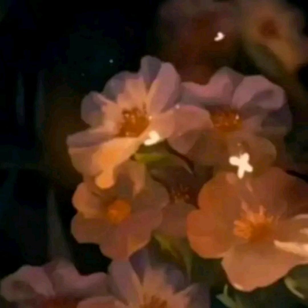 ‘’peerless  断夏