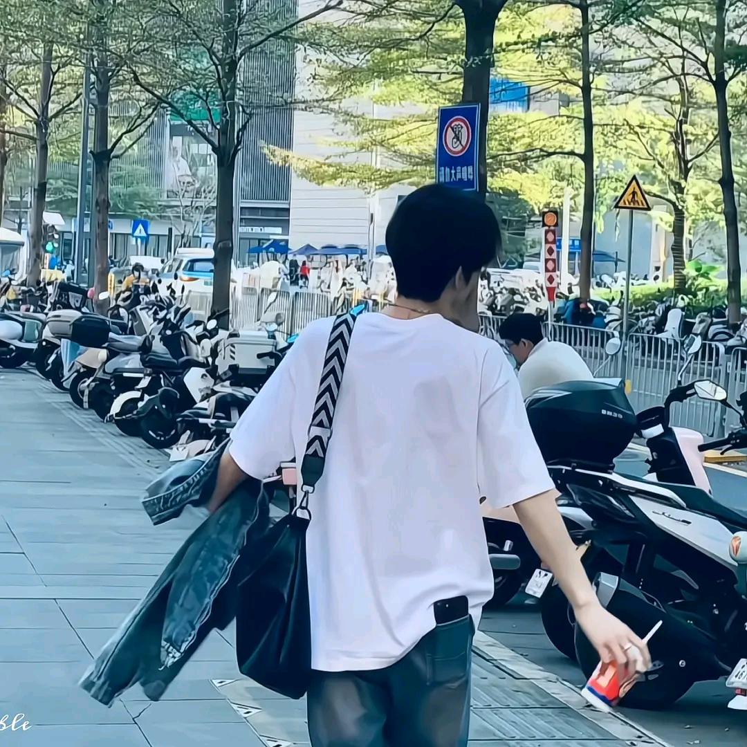 离风吹不到城北