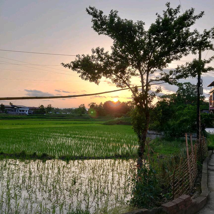顺铭信息—小蒋