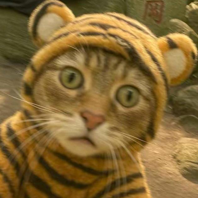 你瞅啥