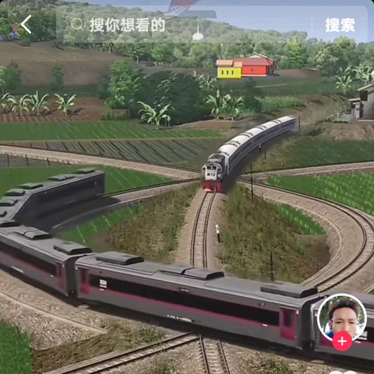 春花
