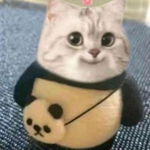 你看起来真好笑