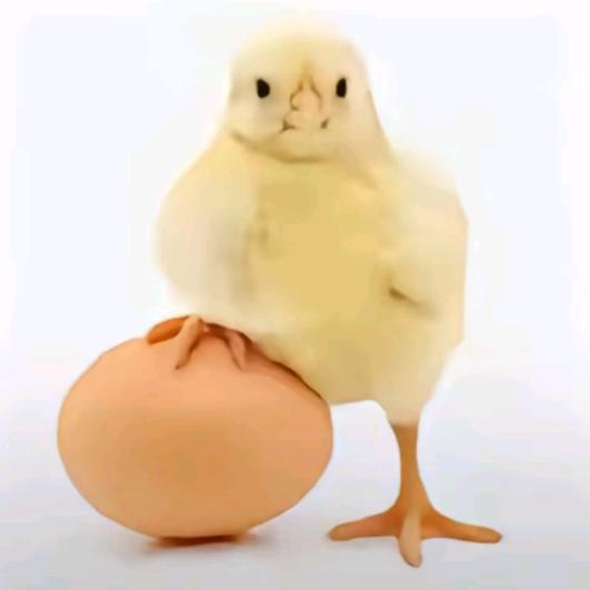 聆听当0被退回的那个夜晚