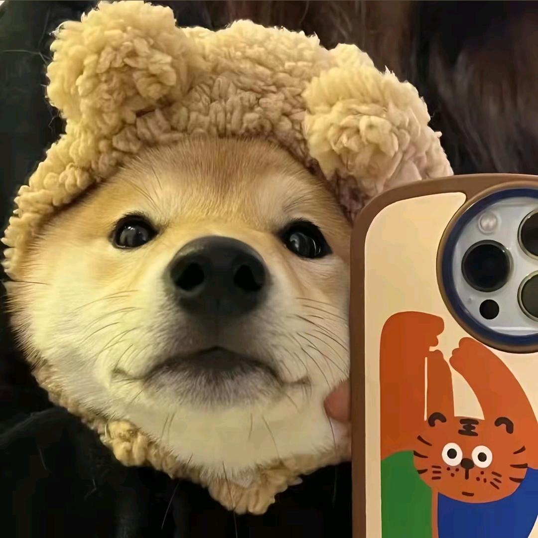 男神会打篮球