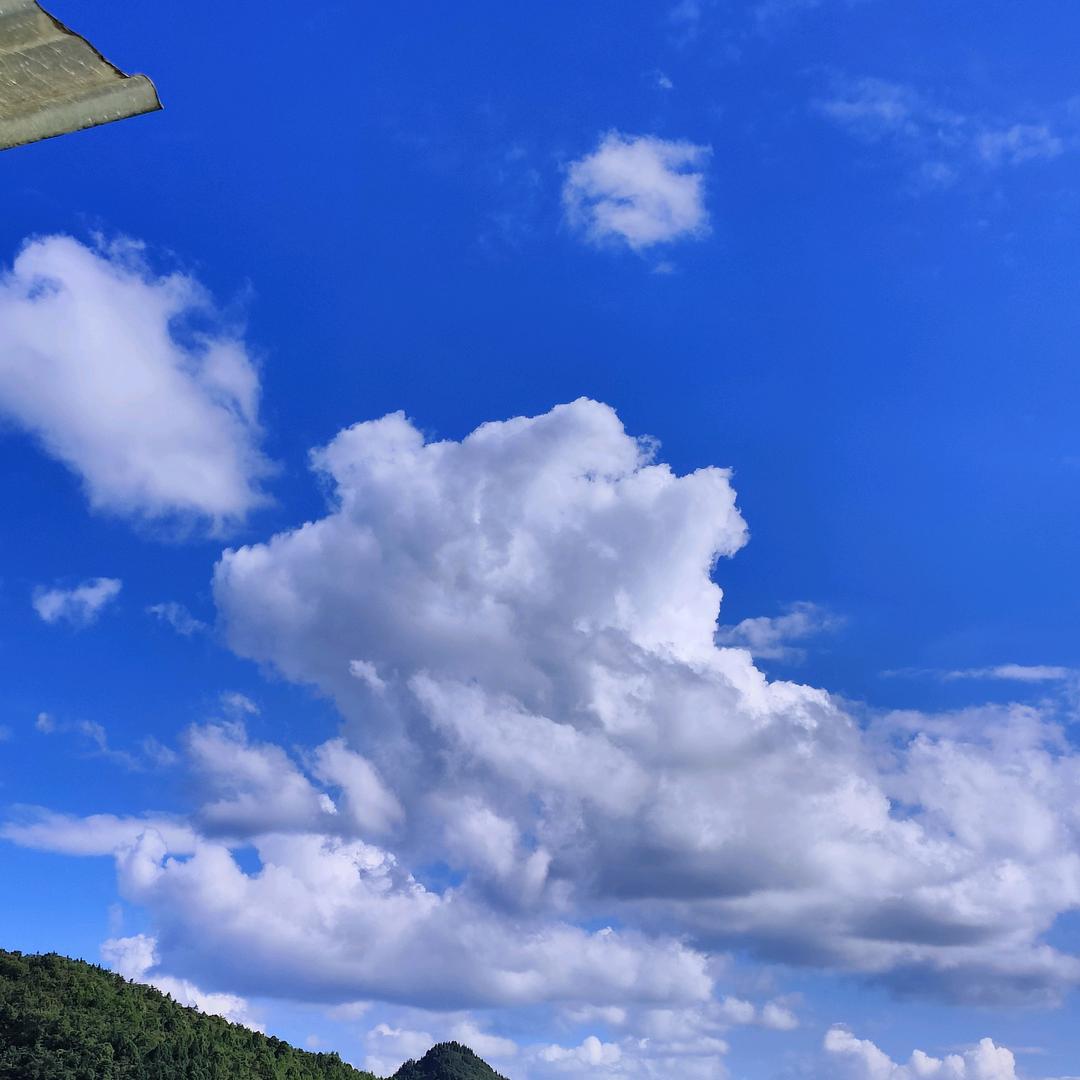 柠檬汁(๑•ั็ω•็ั๑)