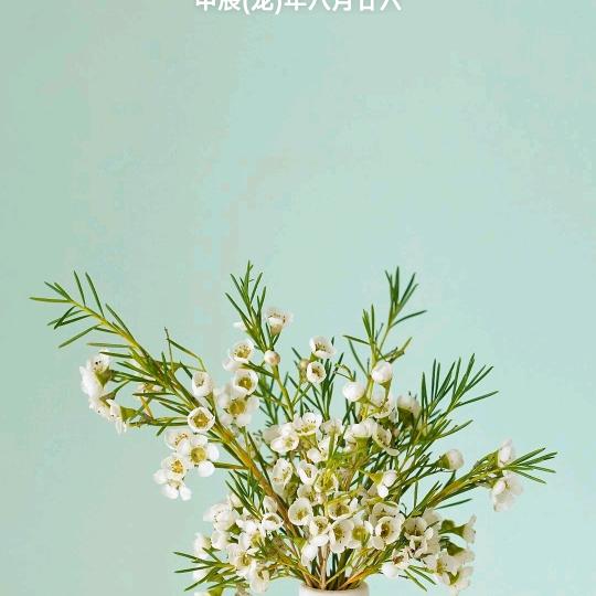 岁岁平安