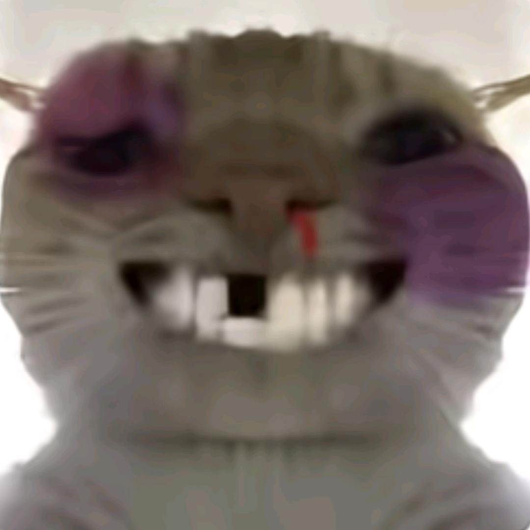 开始懂了''