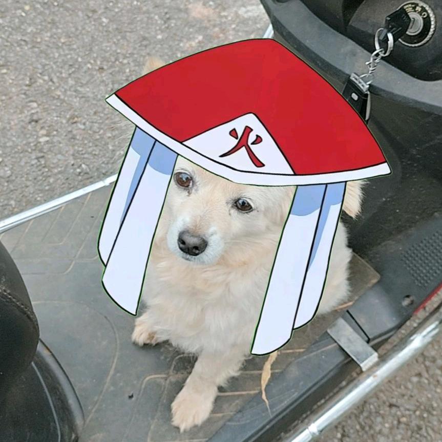 近远行