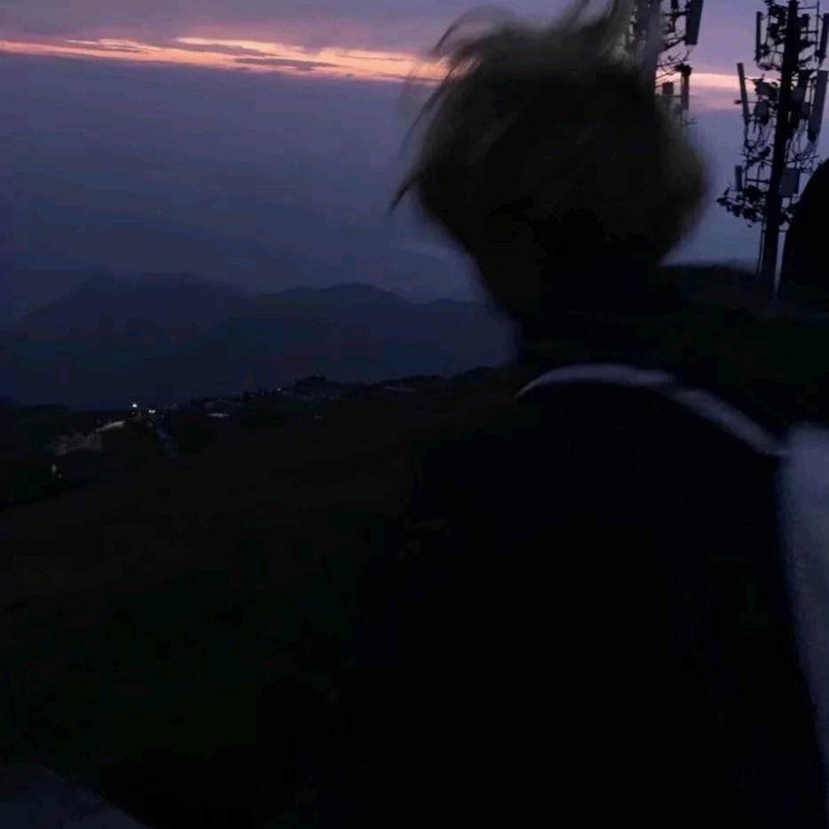 杨梅乌龙茶