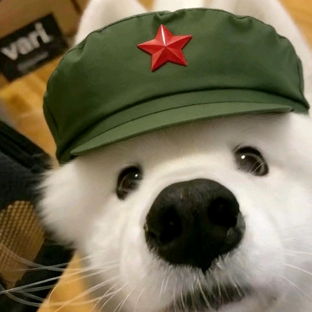 五角星相如无疑了