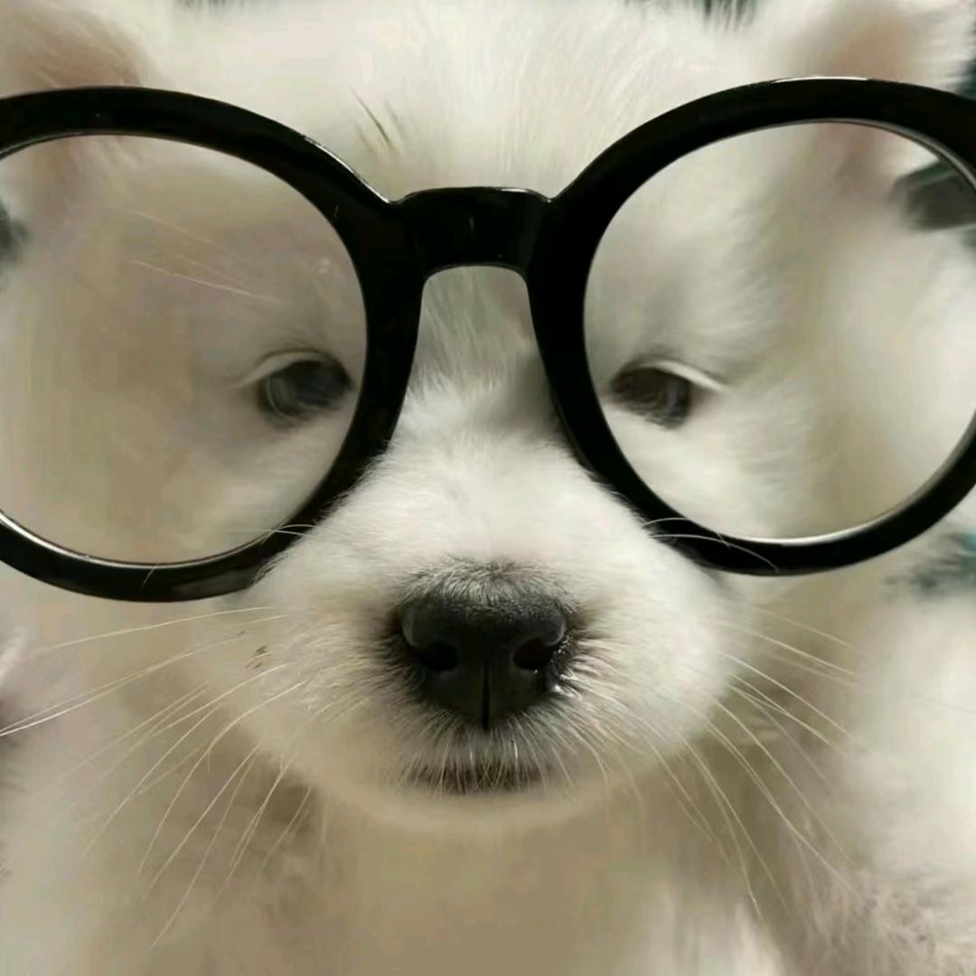 睡醒还是好困