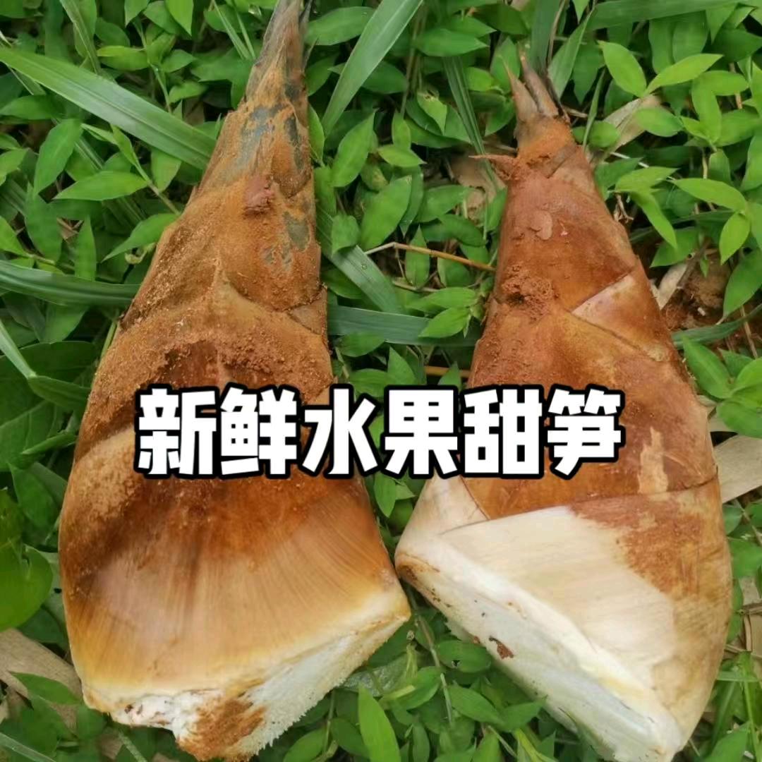 冬笋