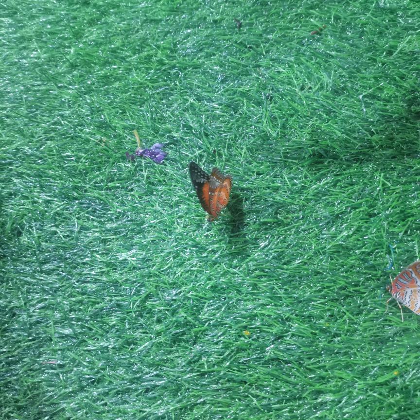 开心快乐47269606