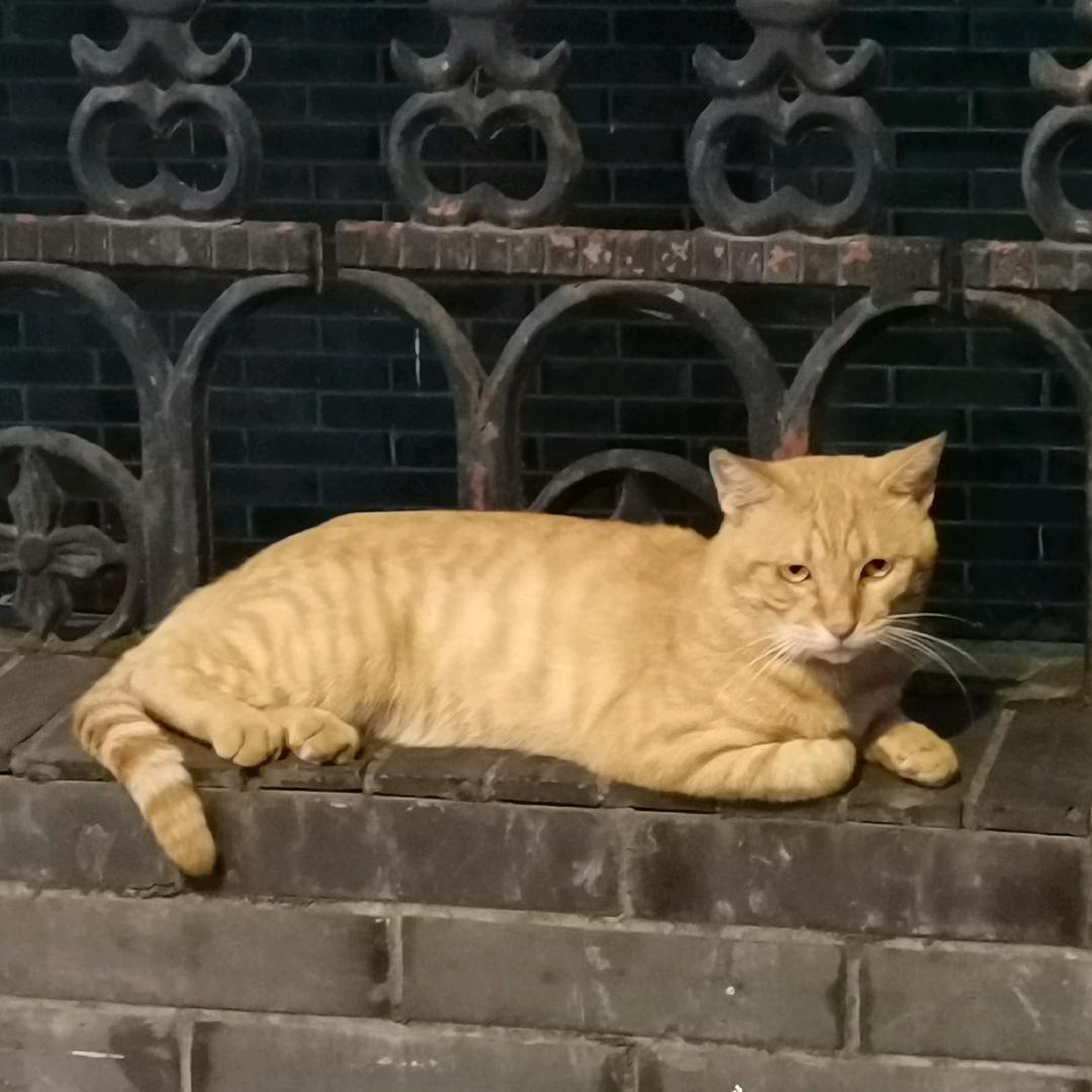 随随便便