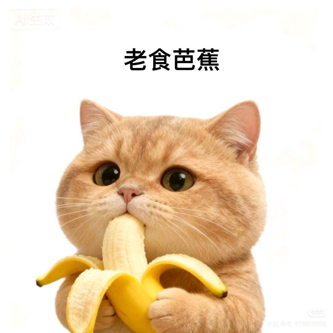 猫猫睡不醒