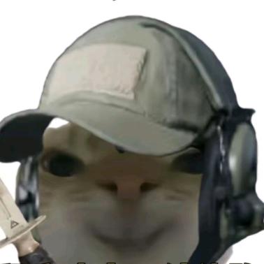 忤宴（三角洲跑刀）