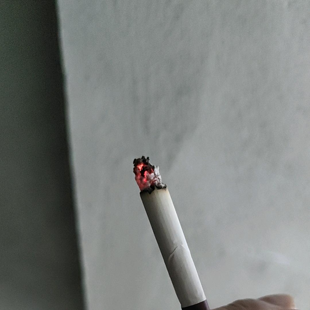 人生