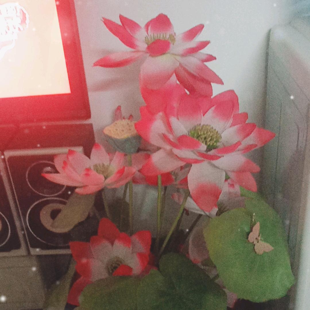 开开心心每一天