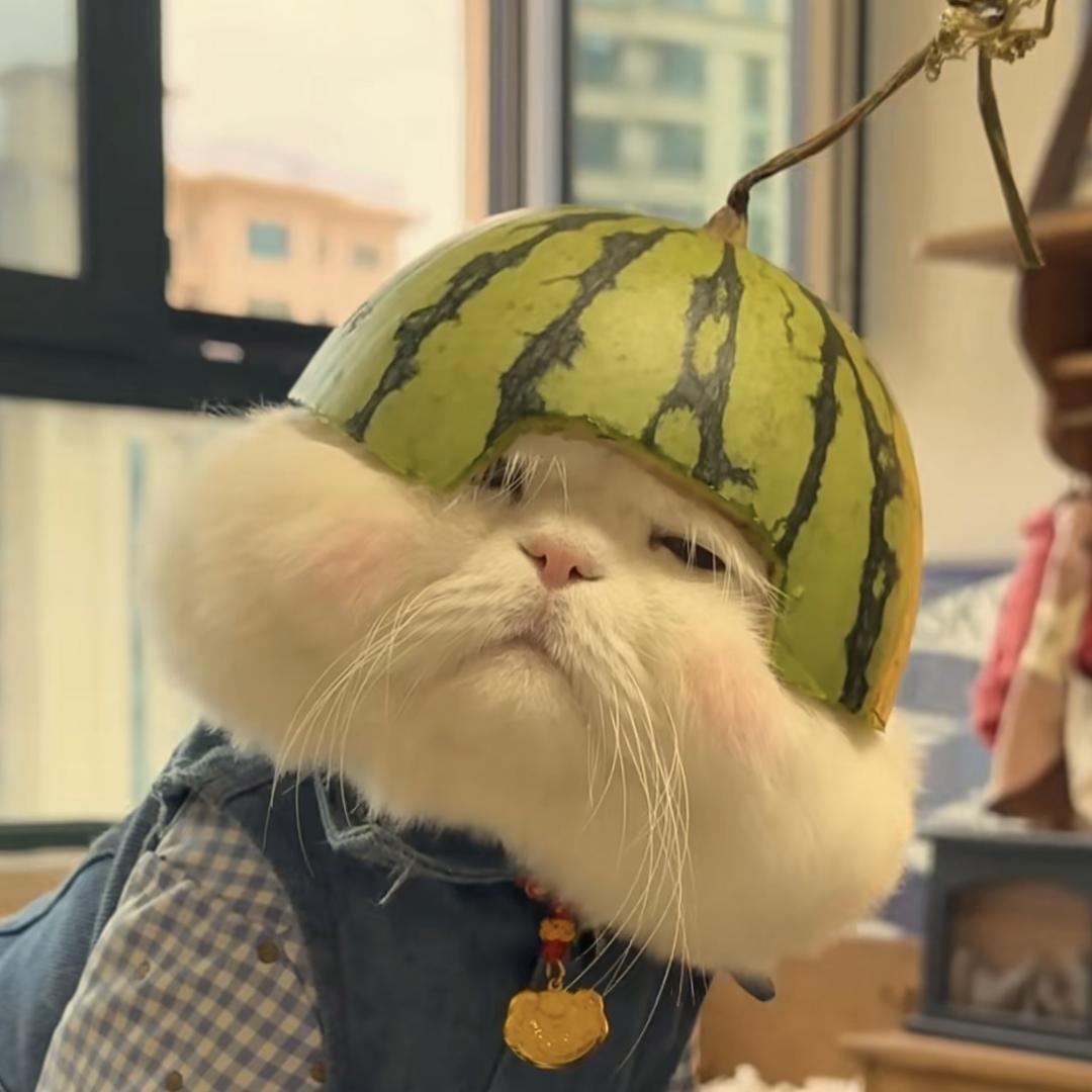咕噜咕噜