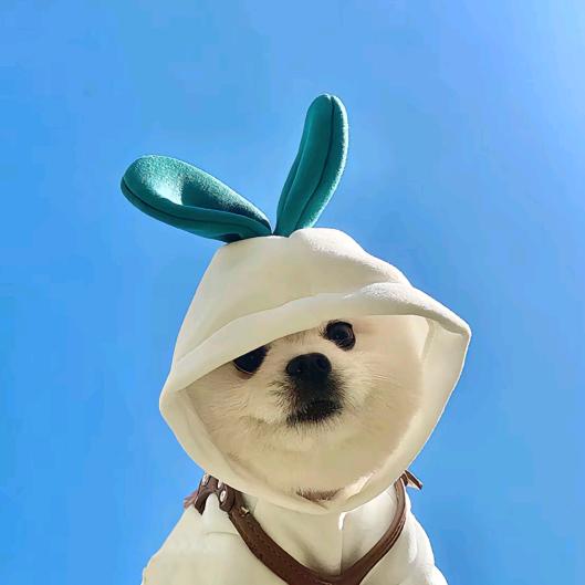 沅沅剧场