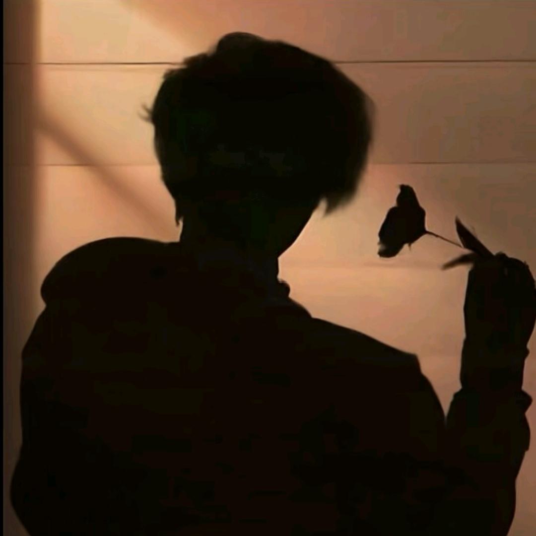王者小迪