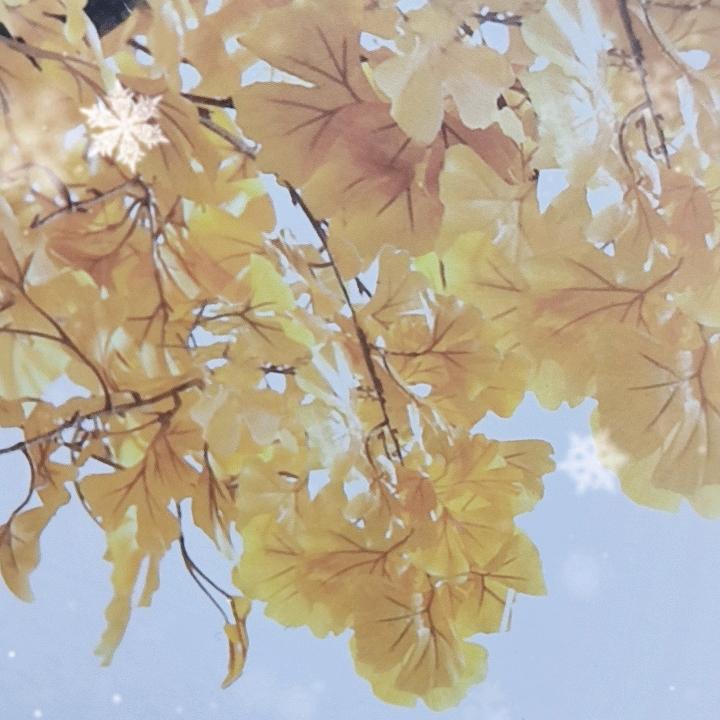 空吧