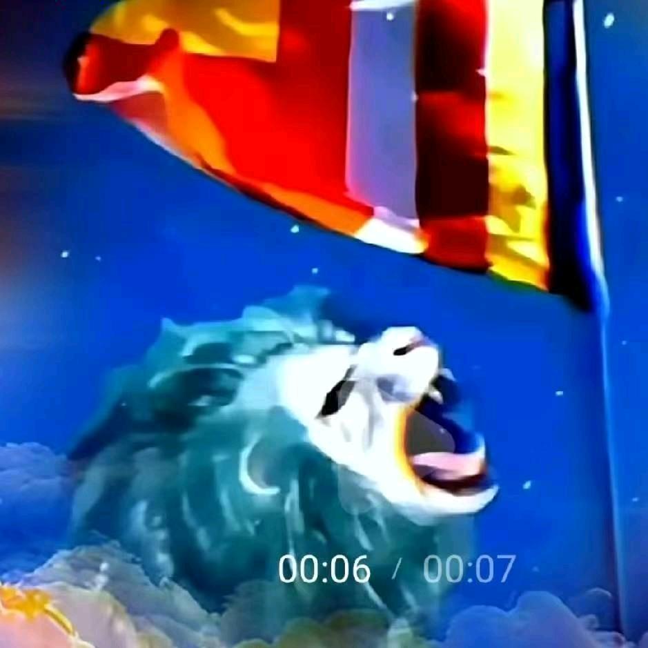 ༆卡瓦战队