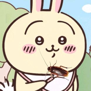 乌萨奇爱吃老蟑