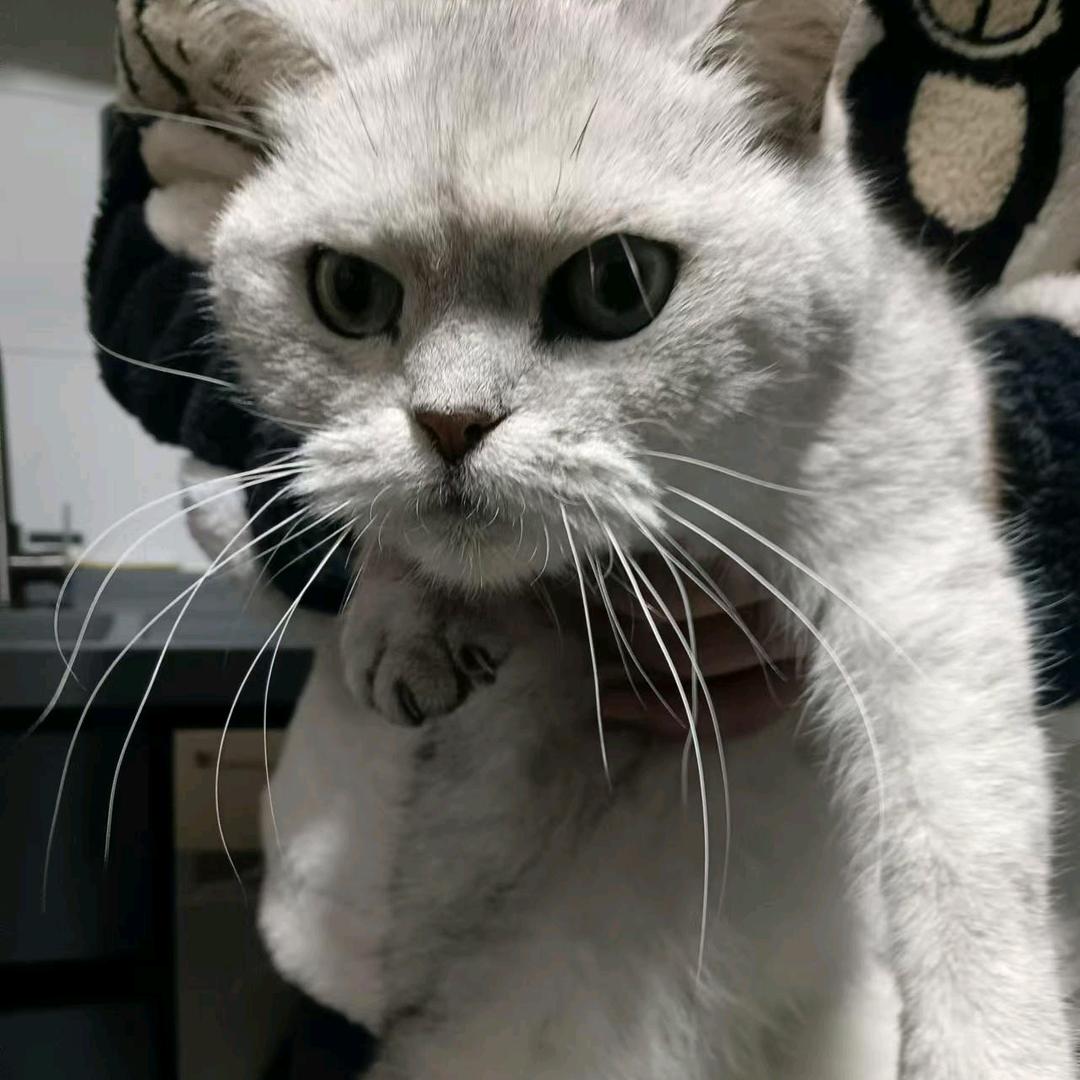 钱好累