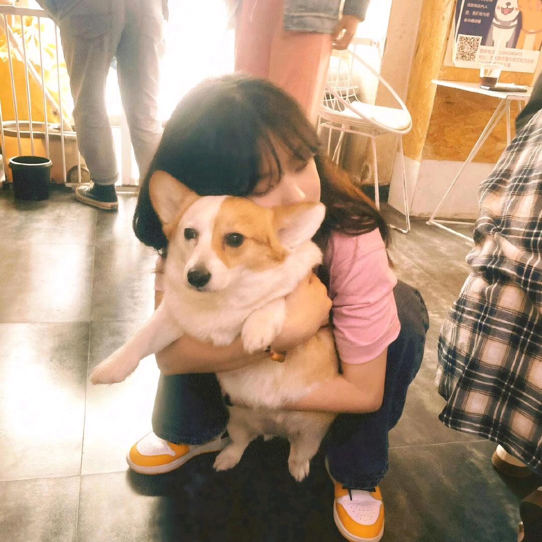 别在我评论区摆摊