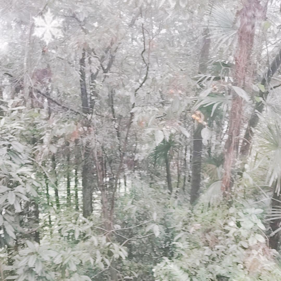 欢迎欢迎热烈欢迎