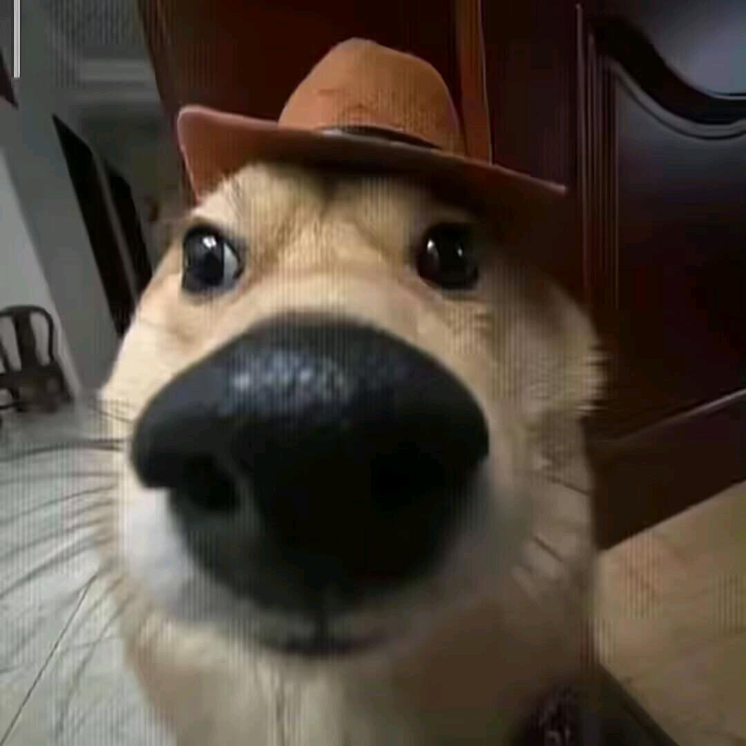 伤心葫芦娃。头像