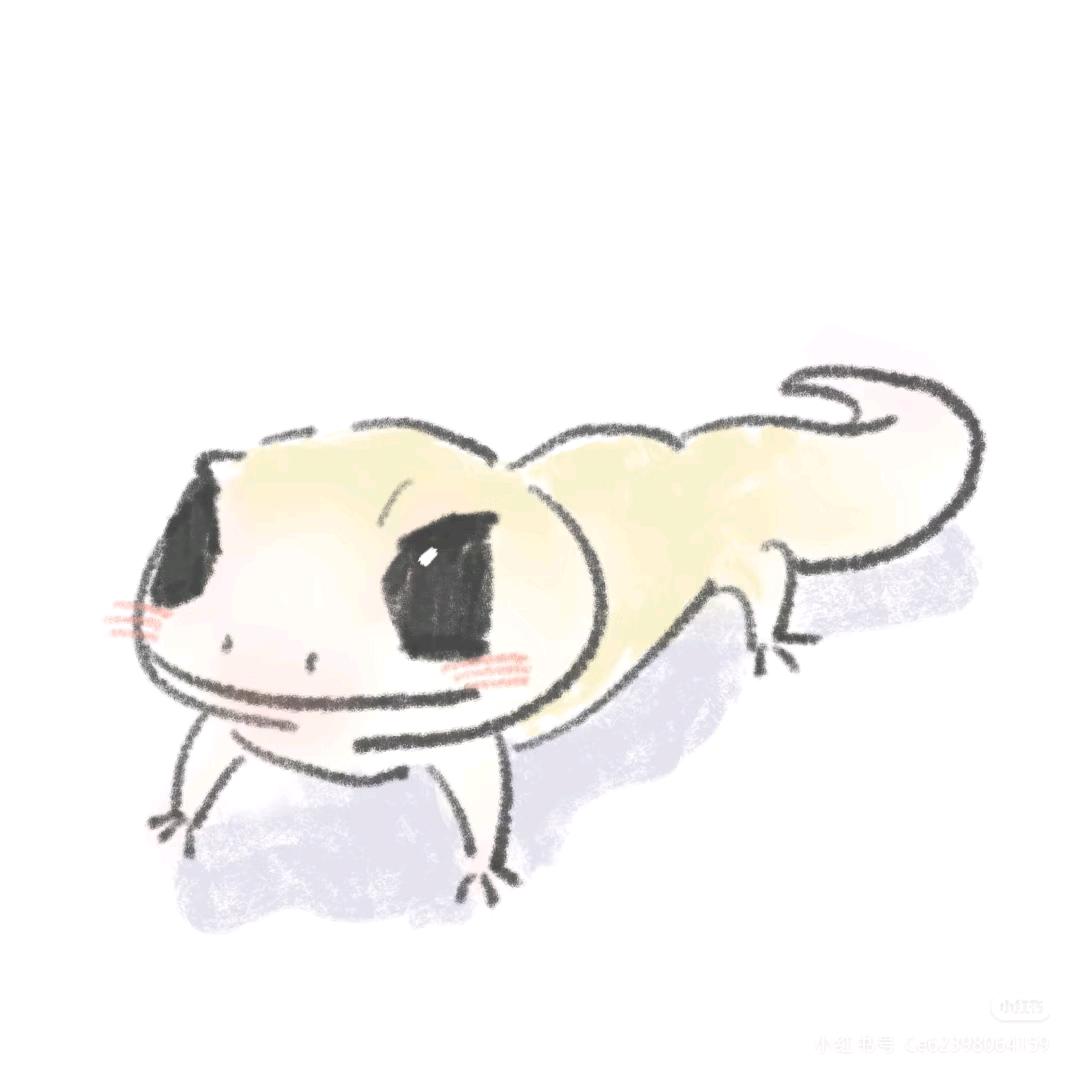 蜥蜴🦎