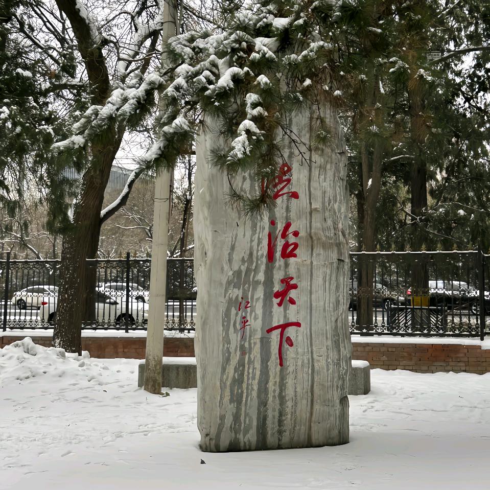 临朐王睿律师