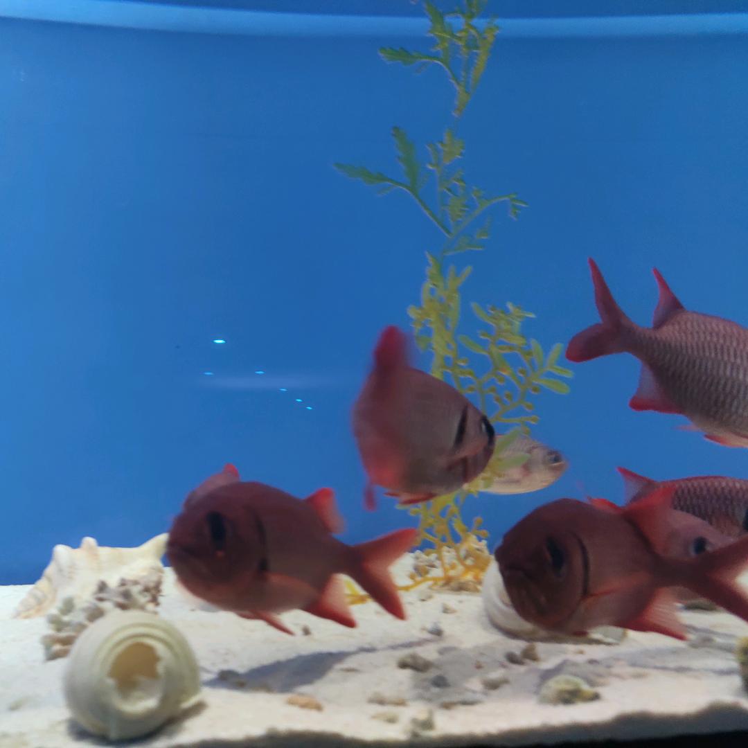 三只鱼水族生活馆