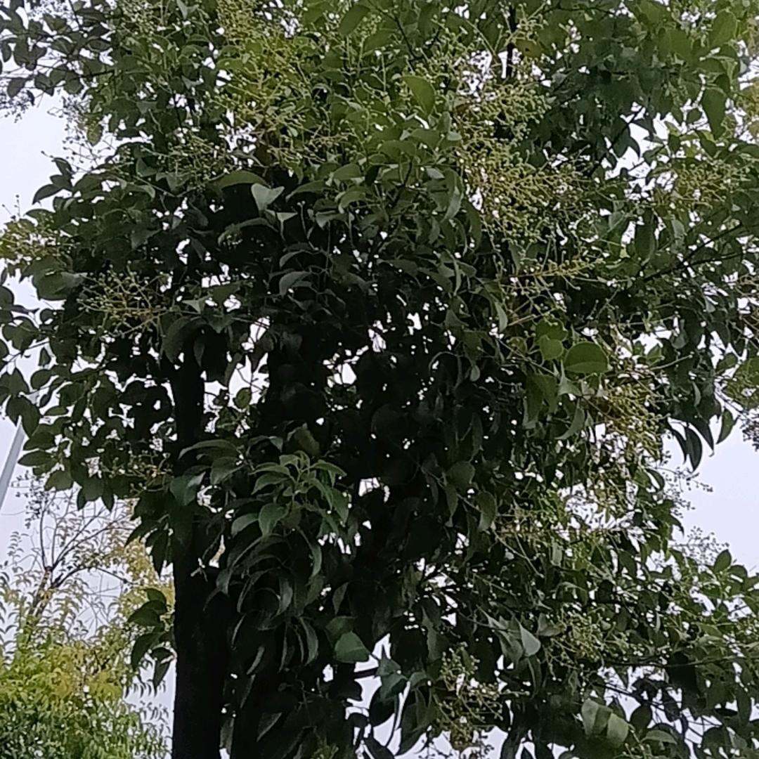 智慧