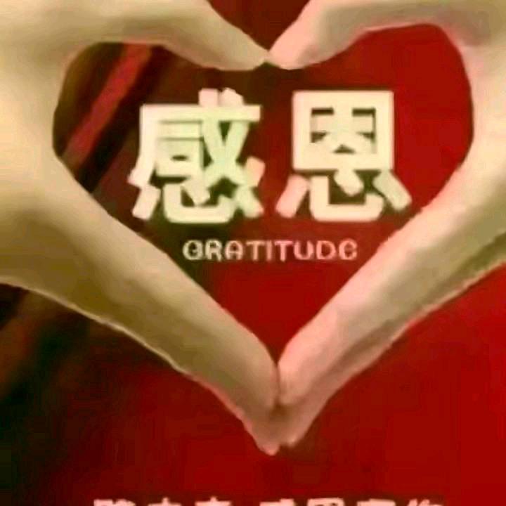 漂泊的人，想有个家。