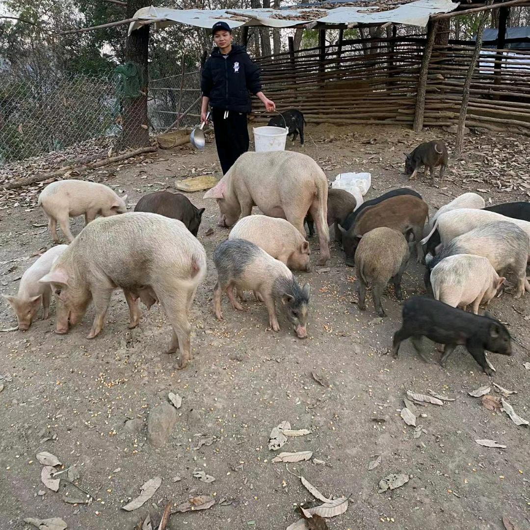 小伟生态循环养殖业